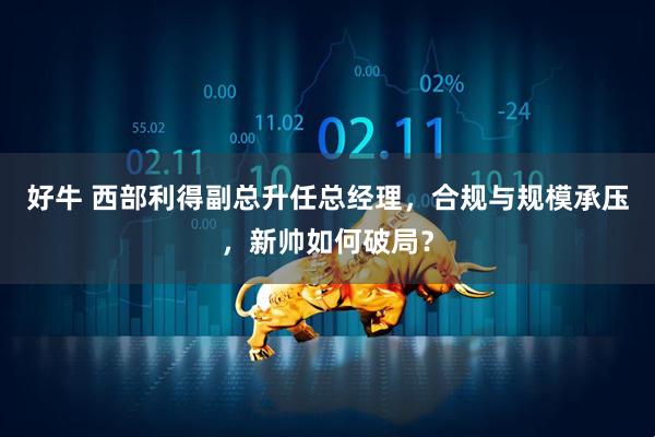 好牛 西部利得副总升任总经理，合规与规模承压，新帅如何破局？